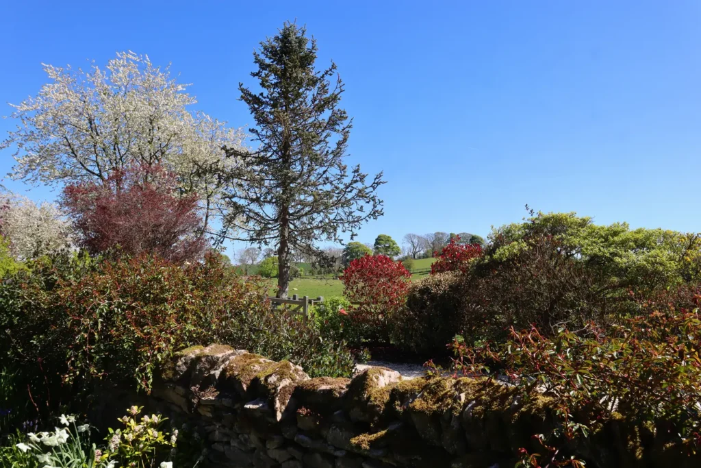 Historic Highlights In The Tyne Valley